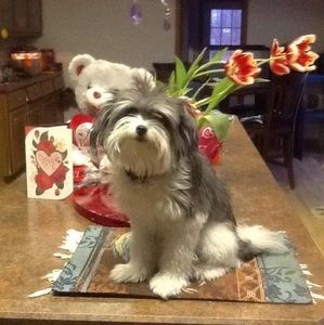 Meet your Posher, Helen